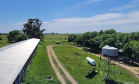 Granja avícola en Colonia Elía